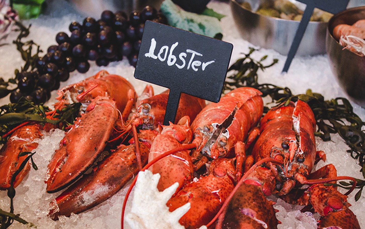 Delicious Seasoned Lobster Suitable For Family Summer Holidays